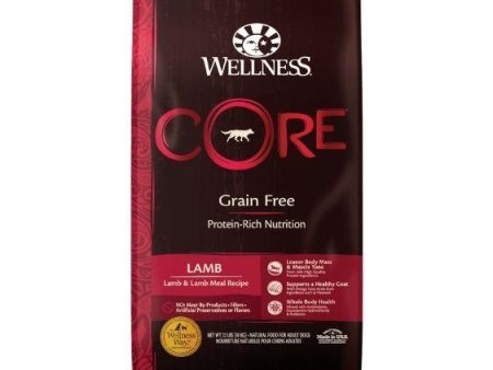 TRY & BUY: Wellness Core Grain Free Lamb Dry Dog Food Online Hot Sale