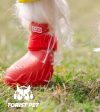 Torist Pet All-Weather Dog Boots (Pepper Red) Online Sale