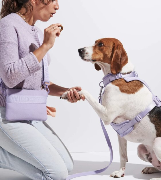 Wild One Recycled Knit Walking Treat Pouch (Lilac) Online Hot Sale