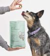 Wild One Organic Baked Dog Treats (Fresh Breath Mix) Sale