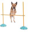 25% OFF: Outward Hound Zip & Zoom Indoor Agility Kit for Dogs Hot on Sale