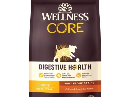 Wellness Core Digestive Health Puppy Chicken & Brown Rice Dry Dog Food Hot on Sale