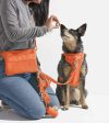 Wild One Recycled Knit Walking Treat Pouch (Limited Edition - Blaze) For Discount